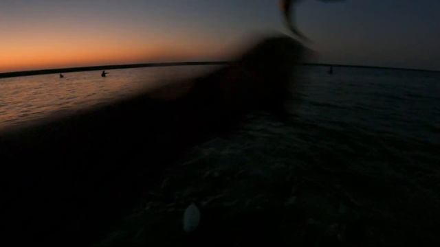 Gaming BARRACUDA | Ultralight Fishing | Abu Dhabi United Arab Emirates смотреть онлайн