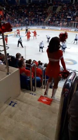 Спартак 2018 - 2019 = ( 1 / 8 со Ска 2 ○ 4 ) , 7 место