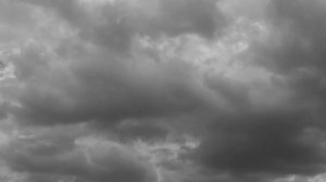 New model army - green and grey