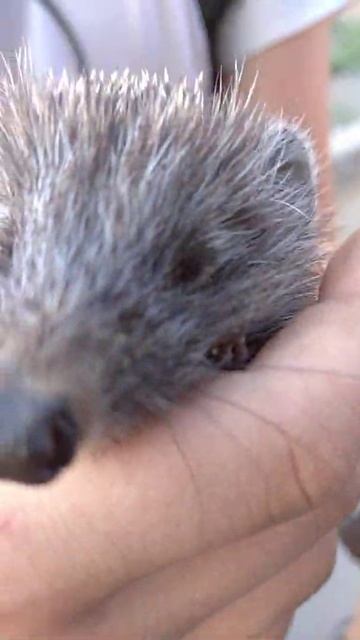 31 июля 2020 г. смотреть онлайн