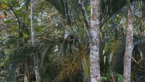 10 Удивительных Фактов о Живой Природе