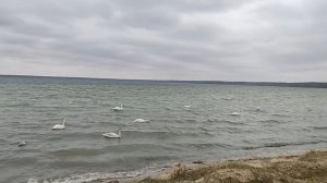 Нарочь - самое большое озеро в Беларуси