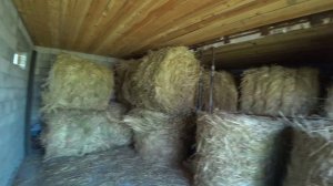 Влог от 14.07.2020