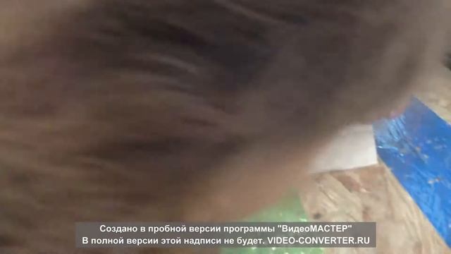 Бал роботов. Москва. Делаем МИНЬОНЧИКА. Всемирное тяготение. смотреть онлайн