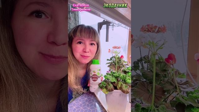 Я защищаю свою рассаду при помощи биологических средств. Это Оздоровитель почвы, Биозащита от болезн
