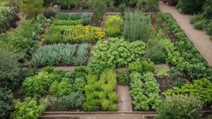 Защита растений от вредителей - Сад-огород