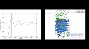 DNSlab: 3D 1-Way Coupled CFD-DEM Simulation of a Dynamic Filtration Process