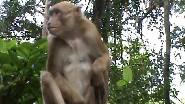 Тайланд,квай 13 смотреть онлайн