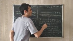 12 МИЕЛИНОВЫЕ И БЕЗМИЕЛИНОВЫЕ ВОЛОКНА