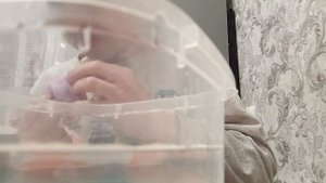 делаю табалапки. гатова уже