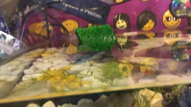 Первый раз самостоятельно поел! смотреть онлайн