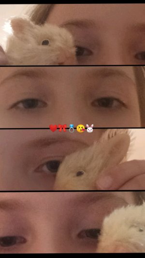 я в эфире