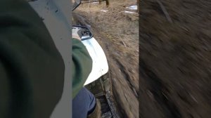 прогулка по лесу,первый выезд