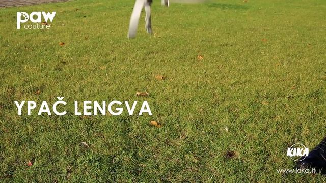 Paw Couture kuprinių pristatymas | 2019 | Kika смотреть онлайн