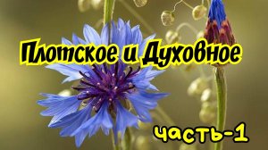 Плотское и Духовное. 05.04.25г.