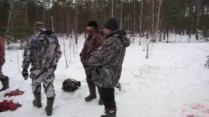 Как поделить мясо, трофей на охоте