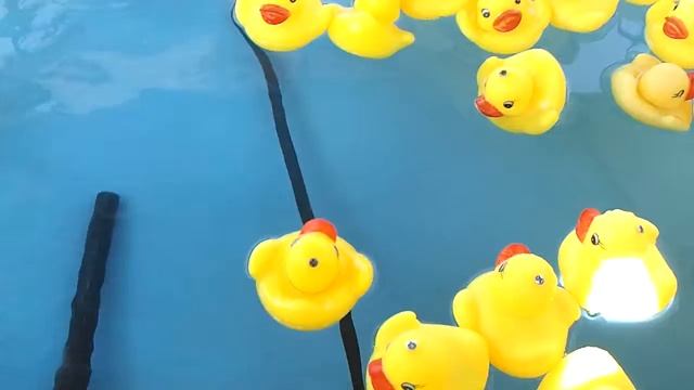 Видео0440 смотреть онлайн