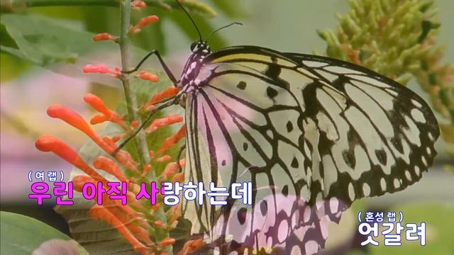 [은성 반주기] TTL(Time To Love) - 티아라(TARA).초신성 смотреть онлайн