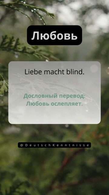 Немецкая пословица с переводом 🇷🇺🇩🇪Любовь #deutschkenntnisse #немецкийснуля #любовь смотреть онлайн