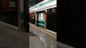 Метро СПб. Поезд Нева отправляется в тупик на станции Беговая.