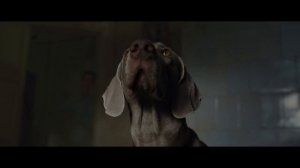 Каруза (2025) - трейлер