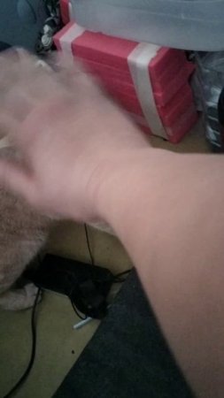 scene_output.mp4