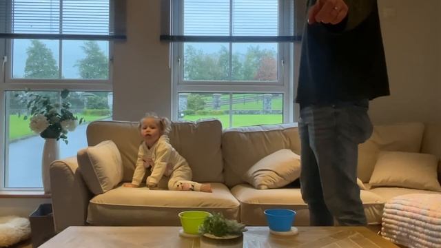 This Is What They Do When We Leave! Hidden Camera! (Cutest Ever!!) смотреть онлайн