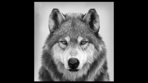 Волки мы в ночных лесах ORIGINAL MUSIC