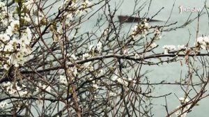 Крымское счастье Ольги Макухиной