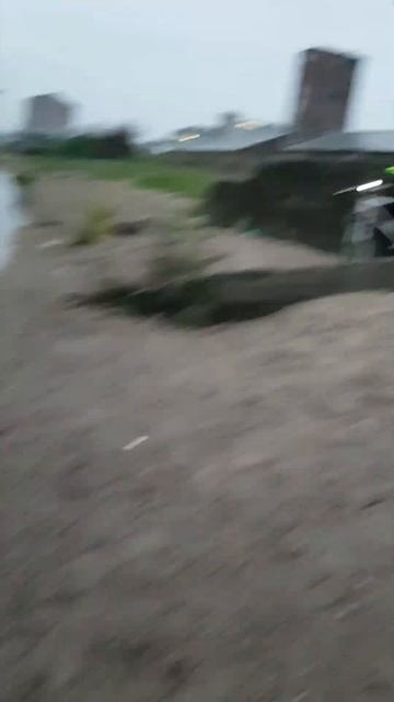 Человек Собаке Друг смотреть онлайн