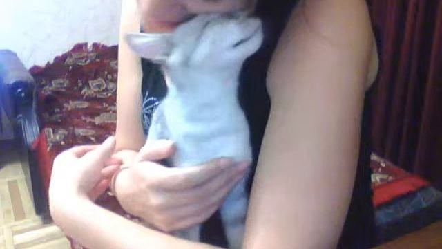 Делимся нежностями)).wmv смотреть онлайн