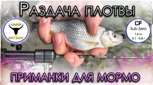 Раздача плотвы. Приманки для мормышинга. Мормышинг.
