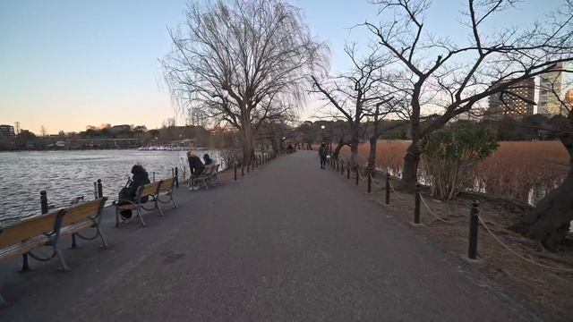 4K・ Tokyo - Blooming plum of Yushima Tenjin Shrine and Ueno walk・4K HDR смотреть онлайн