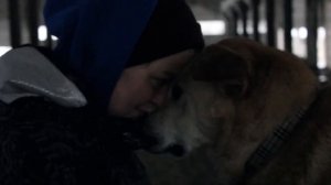 мое собачье дело