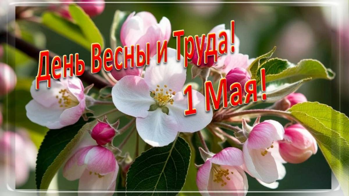 1 Мая видеооткрытка 2