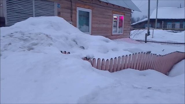 Замочила высокорослые томаты, занимаюсь теплицей