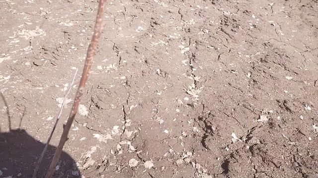 Сынок убирается в огороде смотреть онлайн