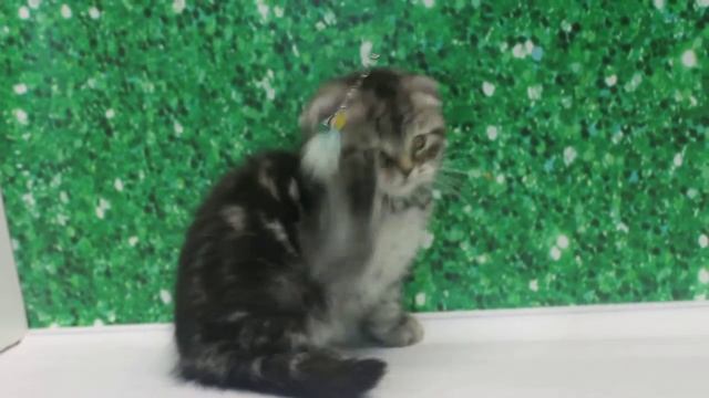 MVI 6405 смотреть онлайн