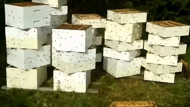 После окончания откачки смотреть онлайн