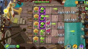 играю в пвз 2