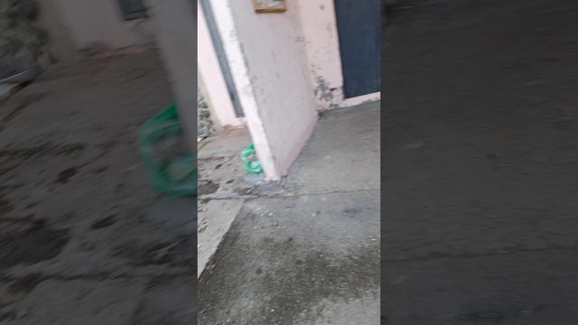обучение и обзор