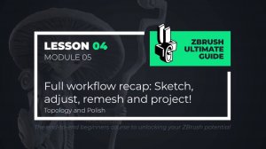 5-4 Workflow recap Sketch, remesh and project