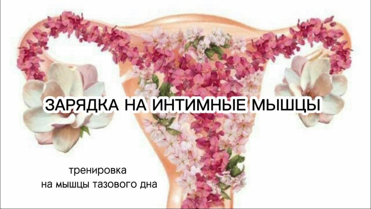 Тазовые часы. Восстановление после родов. Зарядка на мышцы тазового дна #женскоездоровье #кегель