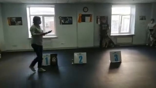 Моно ВЕО ЛПП