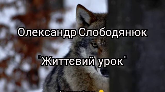 Олександр Слободянюк "Життєвий урок" #вірш #мысли #віршідлядуші #моистихи #віршідлядуші #стихи