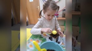 Сажаем. Экостарт в будущее