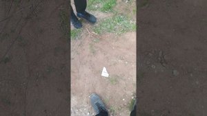 сажаем огород + начало сериала "в поисках чипсов"