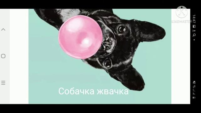 мышка сосиска^собачка жвачка^кошка картошка^куку я немножко^меме смотреть онлайн
