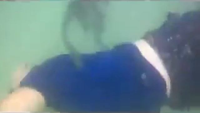 Russia 🇷🇺/Malaysia 🇲🇾 monkey with family Swimming and dive pangkor island Teluk nipah