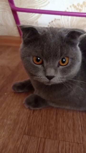 23 января 2022 г. смотреть онлайн